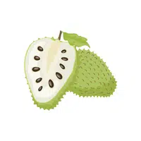 Soursop | Fruits Names in English