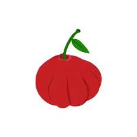 Surinam Cherry | Red Fruits Names in English