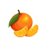 Tangerine | Fruits Names in English