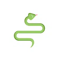 Tiger Snake | Snakes names in English