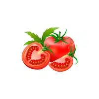 Tomato | Red Fruits Names in English