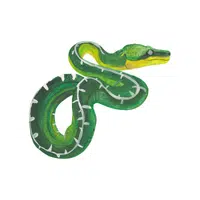 Tree Boa | Snakes names in English