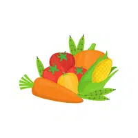 Vegetables | Basic Vocabulary Words for Kids