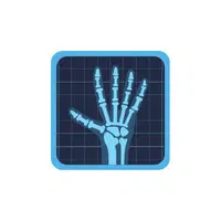 X-ray: | Basic Vocabulary Words for Kids