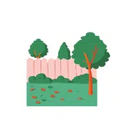 Yard | Basic Vocabulary Words for Kids