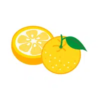 Yuzu | Fruits Names in English