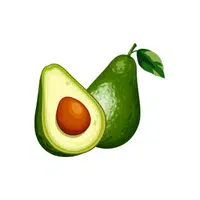 Avocado | A Letter things in English for kids