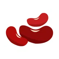 Beans | B Letter things for kids in English