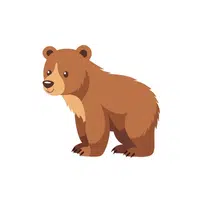 Bear | B Letter things for kids in English