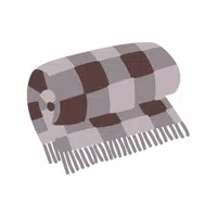 Blanket Thing that Start with B