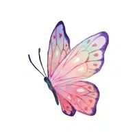 Butterfly | B Letter things for kids in English