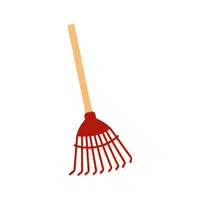 Carpet Rake | Cleaning Tools Names in English