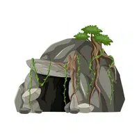 Cave Nature Word in English