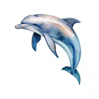 Dolphin | D Letter Things for kids in English