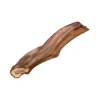 Driftwood | D Letter Things for kids in English