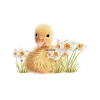 Duckling | D Letter Things for kids in English