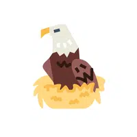 Eagle’s Nest | E Letter Things names for kids