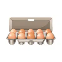Egg Carton Thing that start E for kids