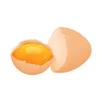Eggshell | E Letter Things names for kids
