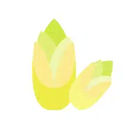 Endive Thing that start E for kids
