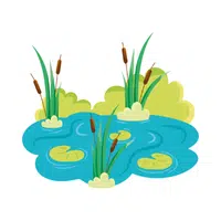 Estuary Nature Word in English