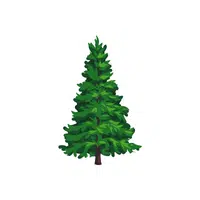 Evergreen Tree | E Letter Things names for kids