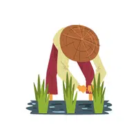 Farmer | F letter Things for kids in English