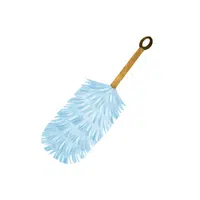 Feather Duster | Cleaning Tool Name in English