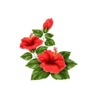 Flower Thing that start with F