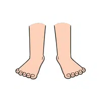 Foot Thing that start with F