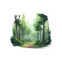 Forest Nature Word in English