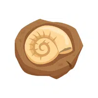 Fossil | F letter Things for kids in English