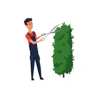 Gardener | G letter Things names for kids