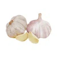 Garlic | G letter Things names for kids