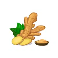 Ginger | Thing name for kids