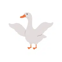 Goose Thing name for kids