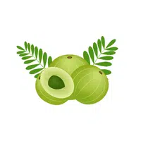 Gooseberry | Thing name for kids