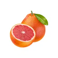 Grapefruit | Thing name for kids