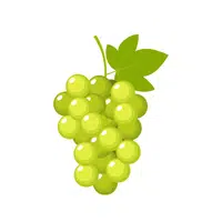 Grapes Thing name for kids