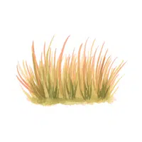 Grassland | G letter Things names for kids