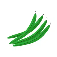 Green Beans | G letter Things names for kids