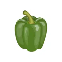 Green Pepper | G letter Things names for kids