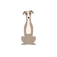 Greyhound (Dog) | G letter Things names for kids