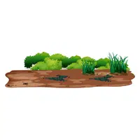 Ground | G letter Things names for kids