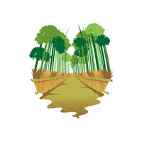 Grove | Nature Vocabulary Words in English