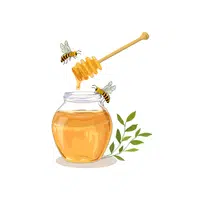 Honey jar | H letter Thing for Kids