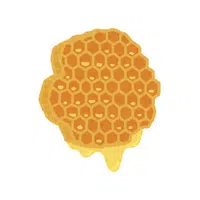 Honeycomb | H letter Thing for Kids