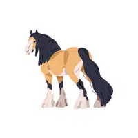 Horse | H letter Things names for Kids