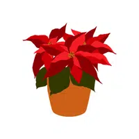 Houseplant | H letter Things names for Kids