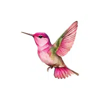 Hummingbird | H letter Things names for Kids